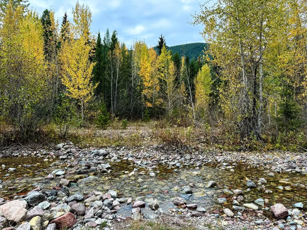 Nhn Giefer Creek Road Essex MT 59916