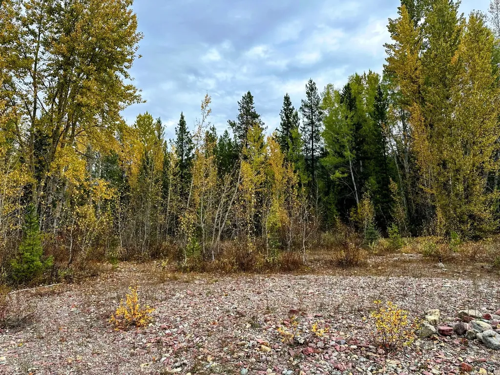 Nhn Giefer Creek Road Essex MT 59916