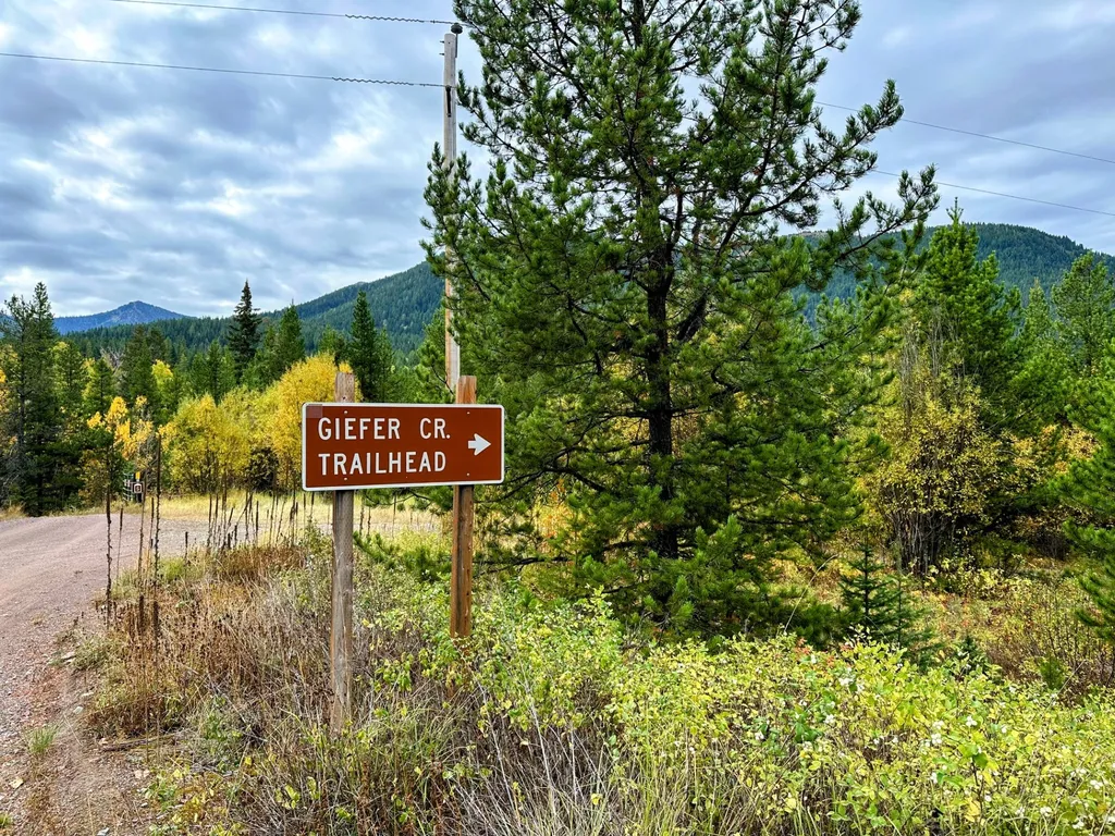 Nhn Giefer Creek Road Essex MT 59916