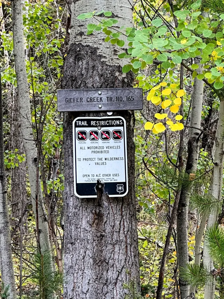 Nhn Giefer Creek Road Essex MT 59916