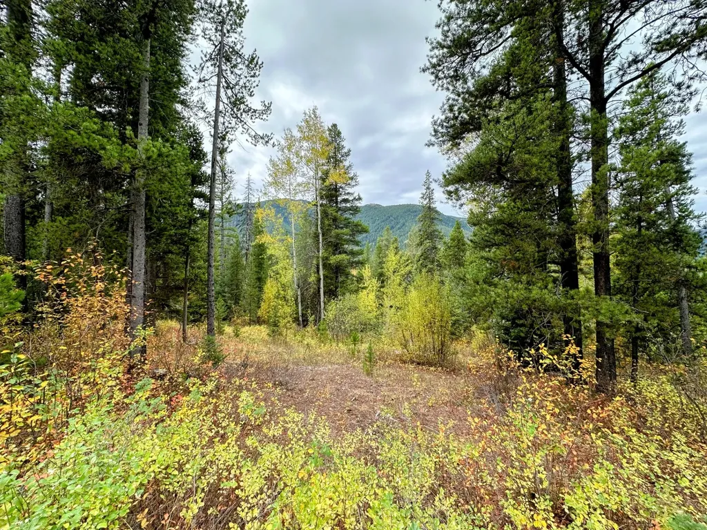 Nhn Giefer Creek Road Essex MT 59916