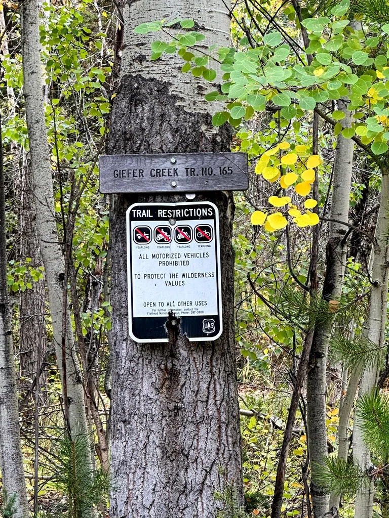 Nhn Giefer Creek Road Essex MT 59916