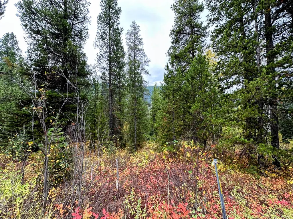 Nhn Giefer Creek Road Essex MT 59916