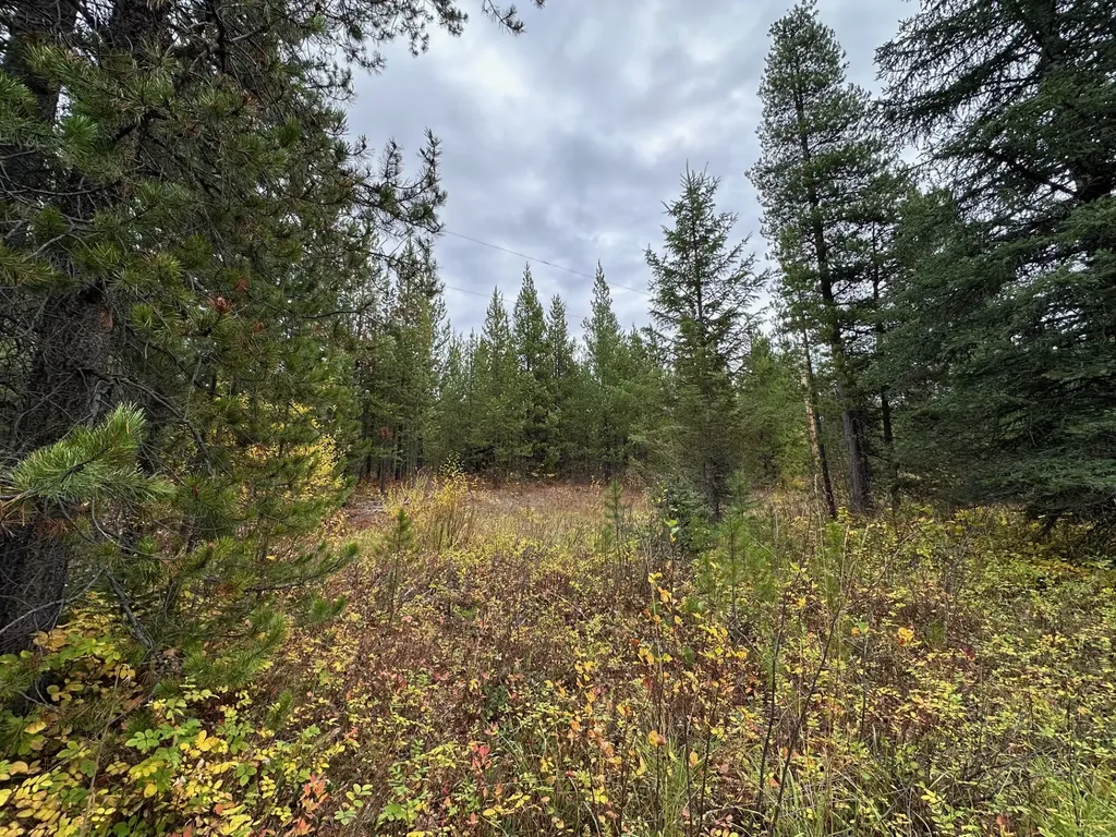 Nhn Giefer Creek Road Essex MT 59916