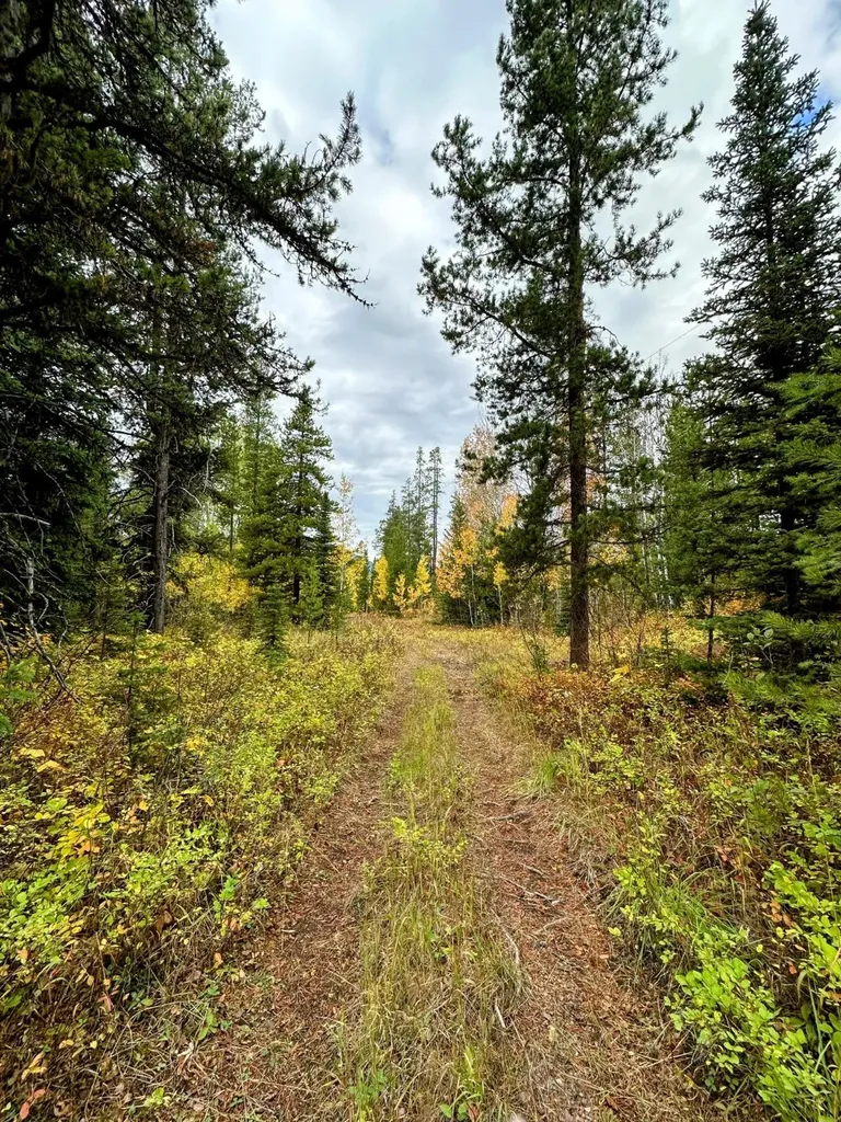 Nhn Giefer Creek Road Essex MT 59916