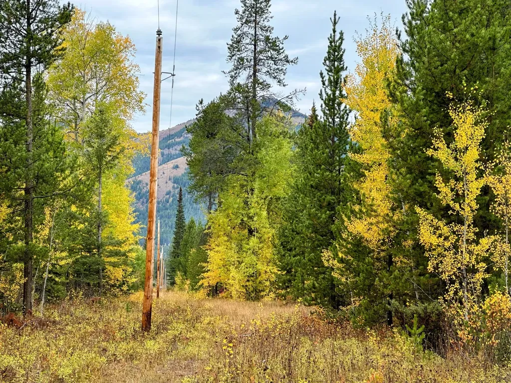 Nhn Giefer Creek Road Essex MT 59916
