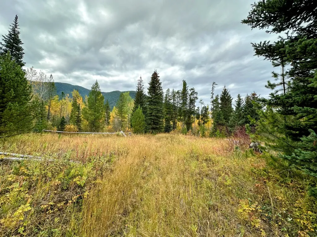 Nhn Giefer Creek Road Essex MT 59916