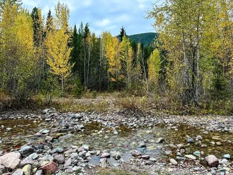 Nhn Giefer Creek Road Essex MT 59916