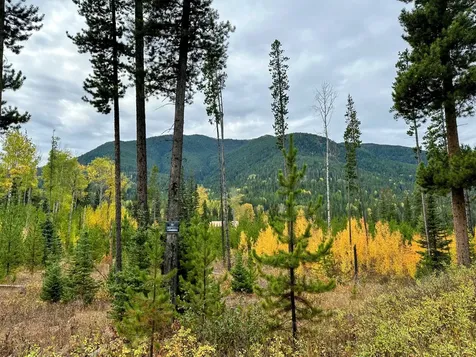 NHN Giefer Creek Road Essex MT 59916