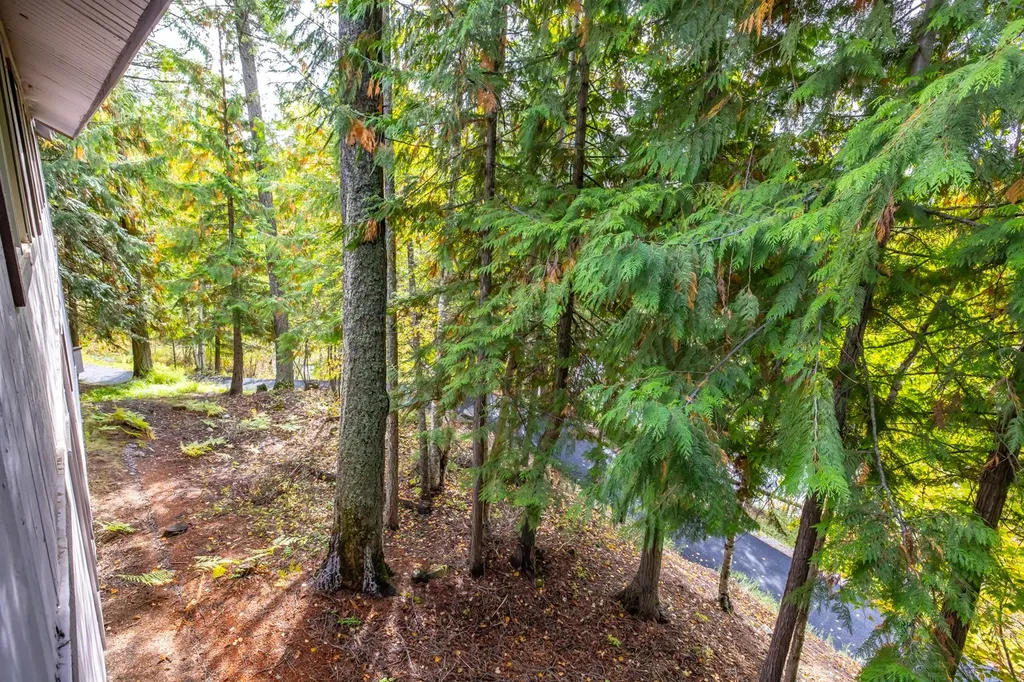 44 Alder Way Whitefish MT 59937