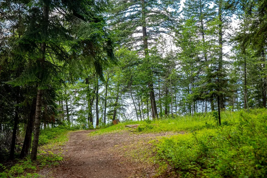 44 Alder Way Whitefish MT 59937