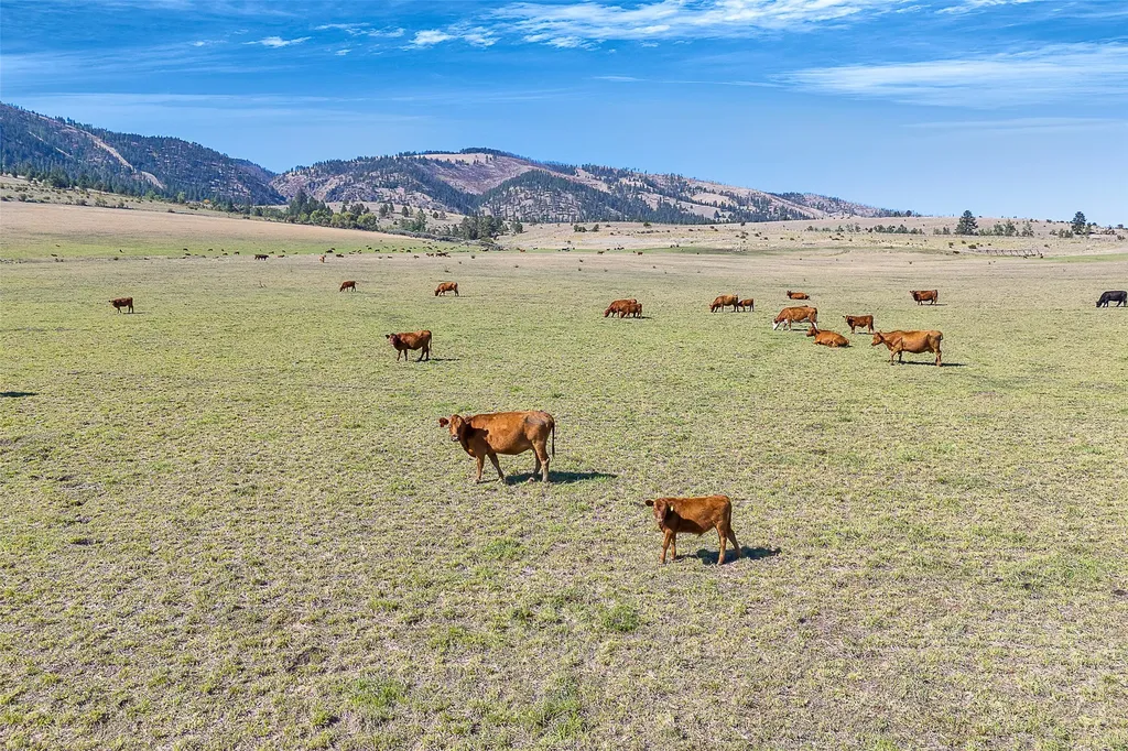 000 King Pastures Florence MT 59833