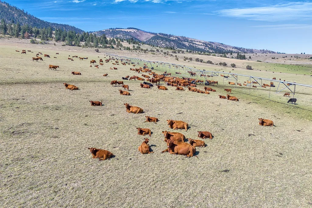 000 South Pastures Florence MT 59833