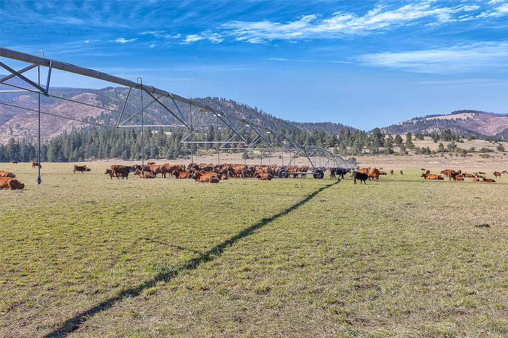000 South Pastures Florence MT 59833