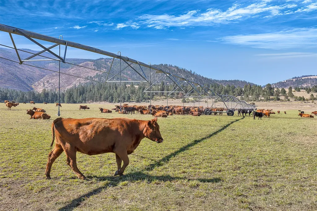 000 South Pastures Florence MT 59833