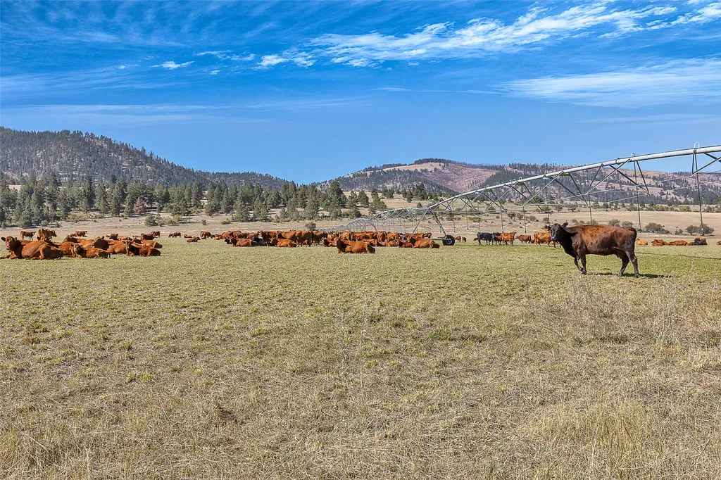 000 South Pastures Florence MT 59833