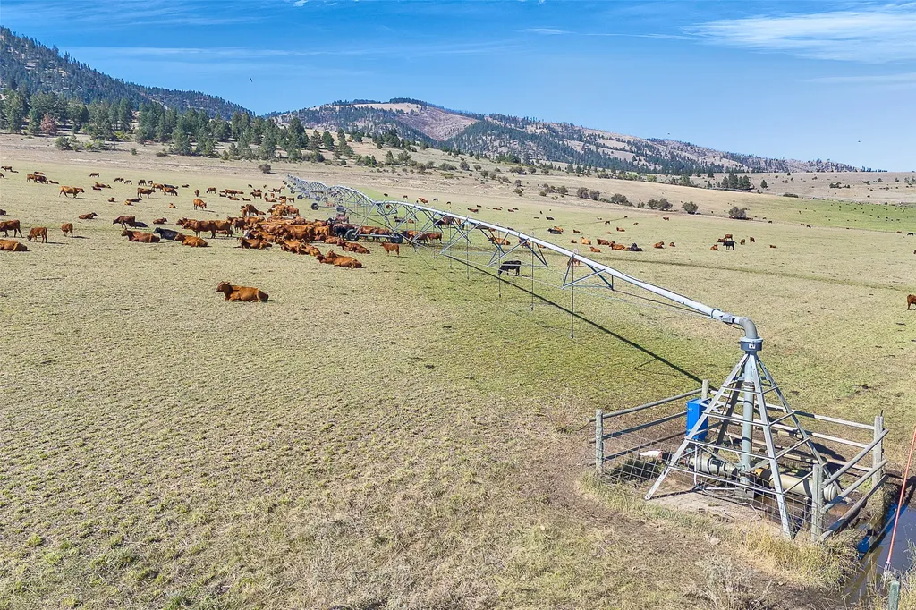 000 South Pastures Florence MT 59833