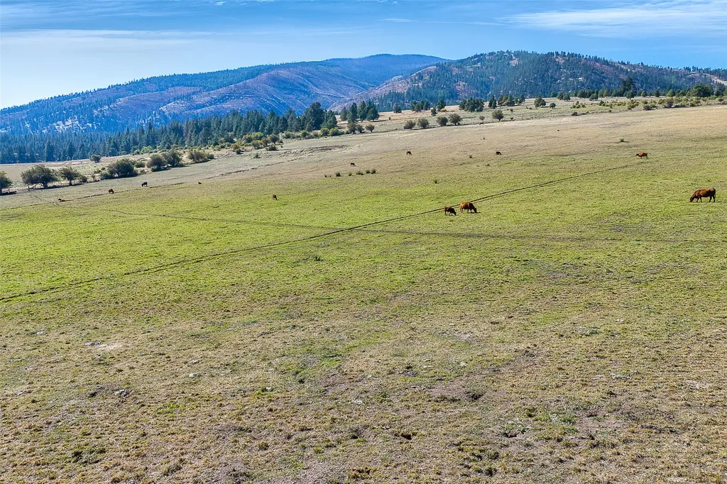 000 Willow Highlands Florence MT 59833