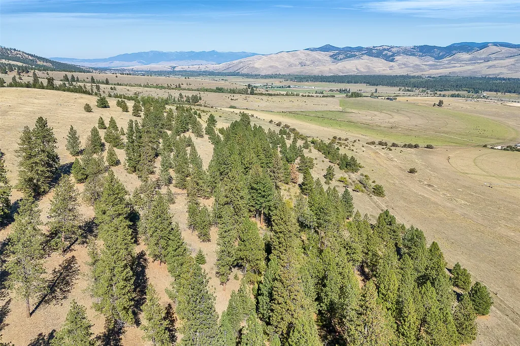 000 Willow Highlands Florence MT 59833