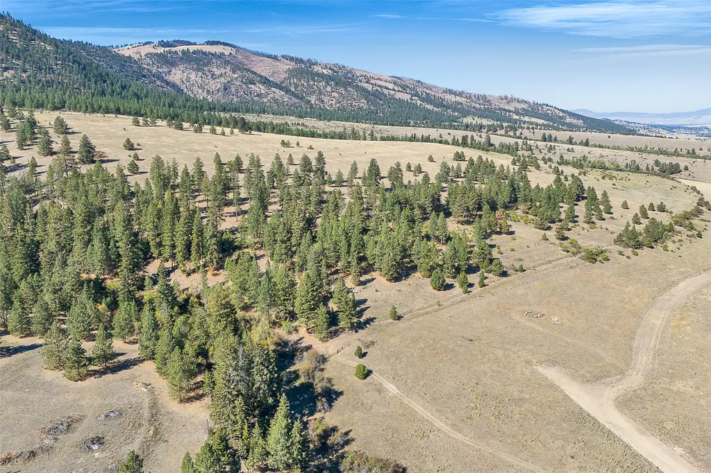 000 Willow Highlands Florence MT 59833