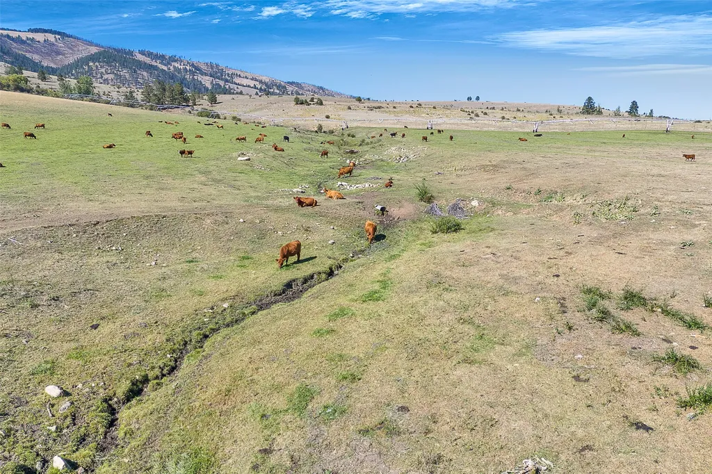 000 Willow Highlands Florence MT 59833