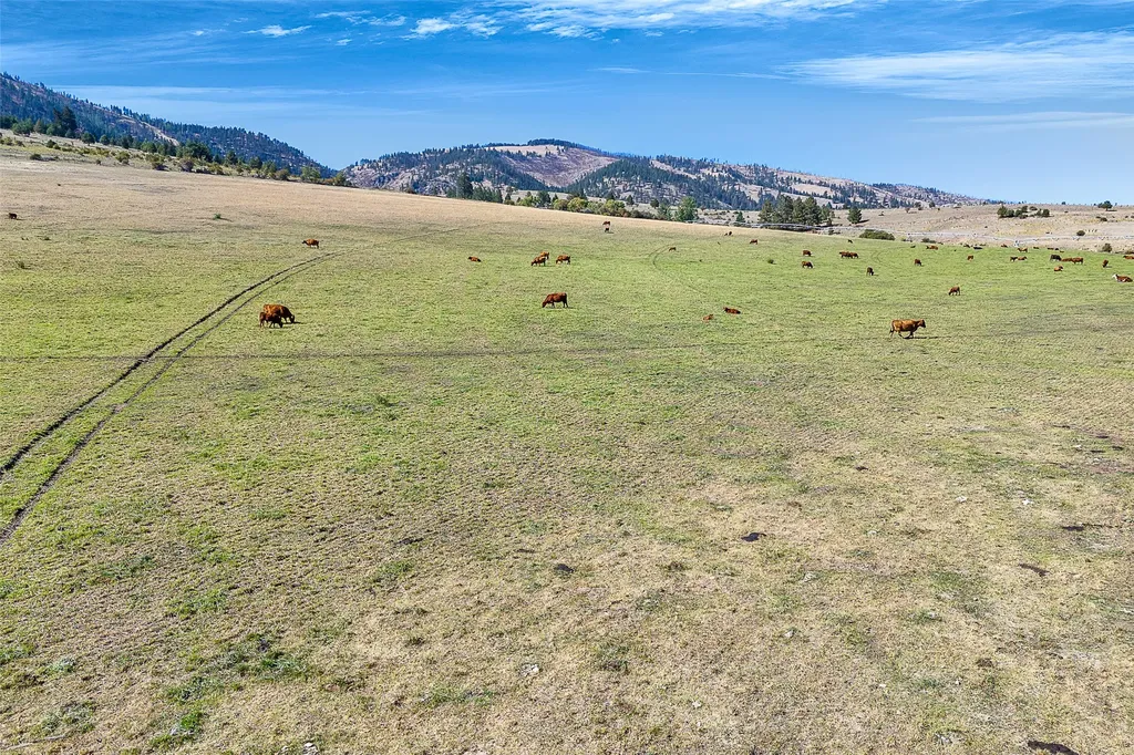 000 Willow Highlands Florence MT 59833