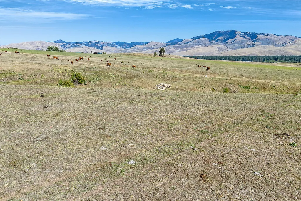 000 Willow Highlands Florence MT 59833