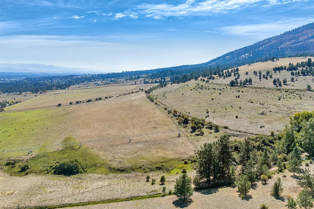 000 Willow Highlands Florence MT 59833