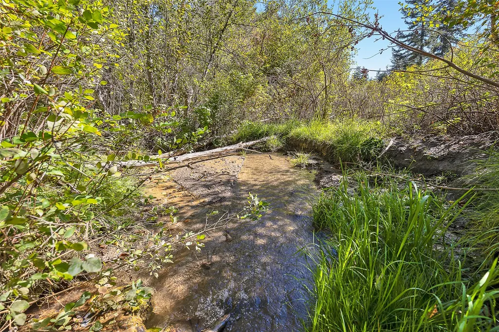 000 Mcclain Creek Meadows Florence MT 59833
