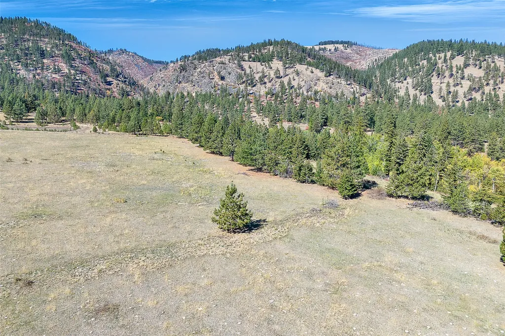 000 Mcclain Creek Meadows Florence MT 59833