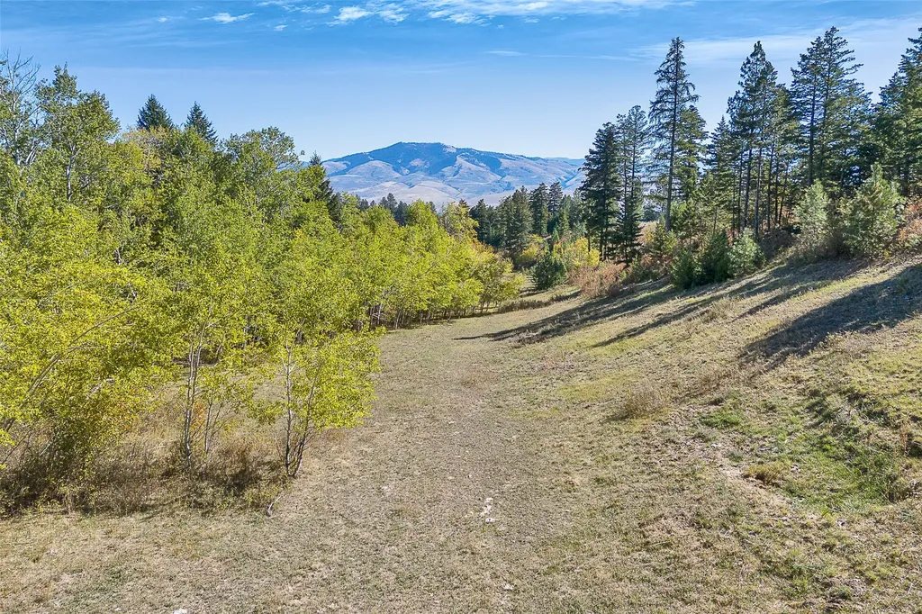 000 Mcclain Creek Meadows Florence MT 59833
