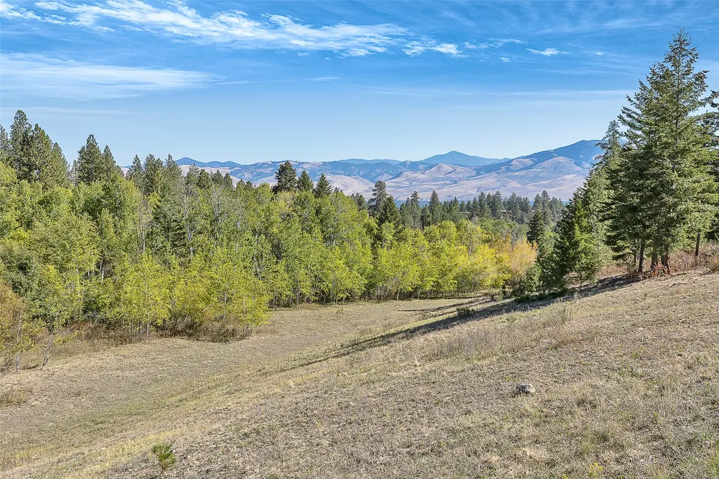 000 Mcclain Creek Meadows Florence MT 59833