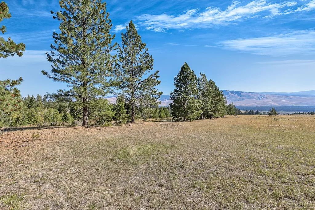 000 Mcclain Creek Meadows Florence MT 59833