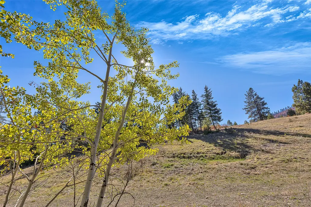 000 Mcclain Creek Meadows Florence MT 59833