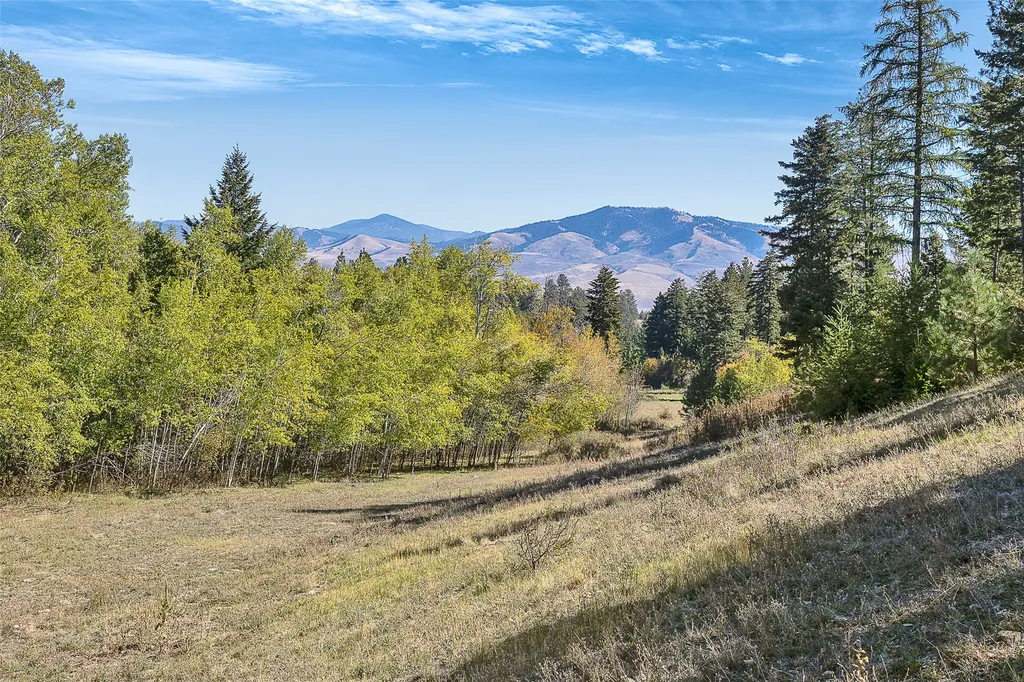 000 Mcclain Creek Meadows Florence MT 59833