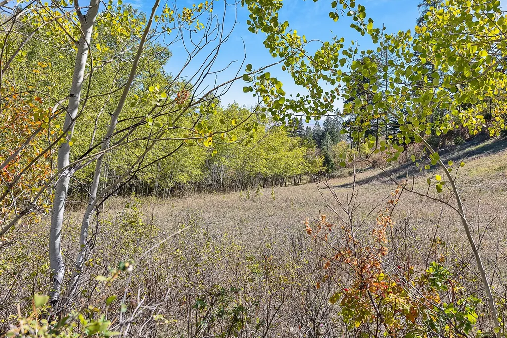 000 Mcclain Creek Meadows Florence MT 59833