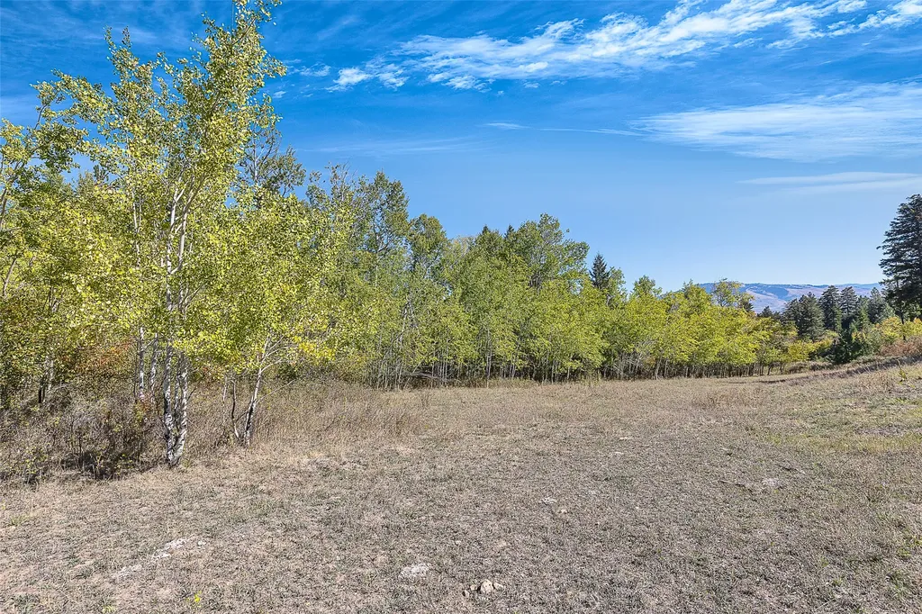 000 Mcclain Creek Meadows Florence MT 59833