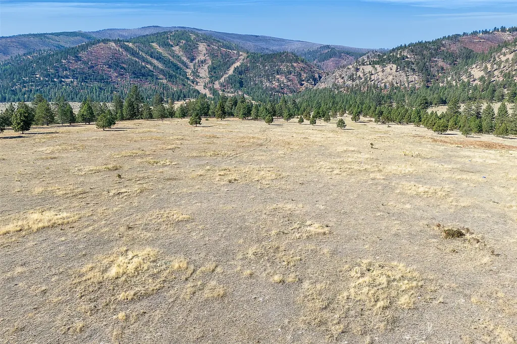 000 Round Top Bluff Florence MT 59833