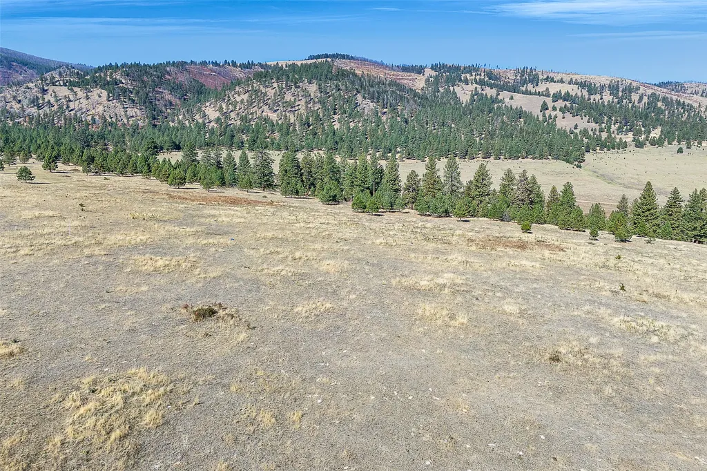 000 Round Top Bluff Florence MT 59833
