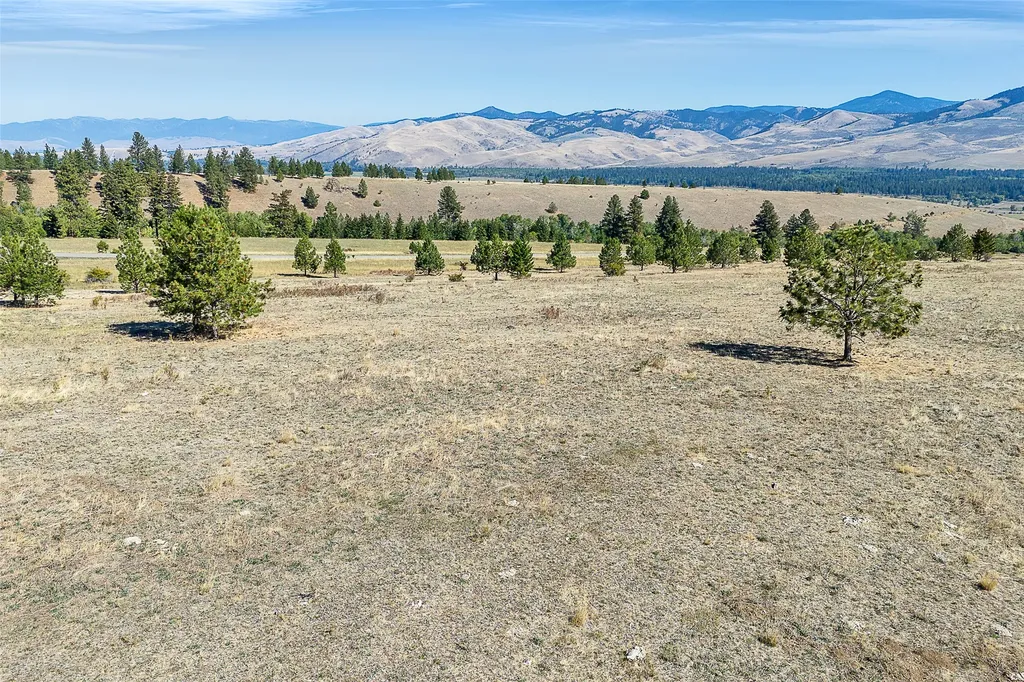 000 Ponderosa Ridge Florence MT 59833