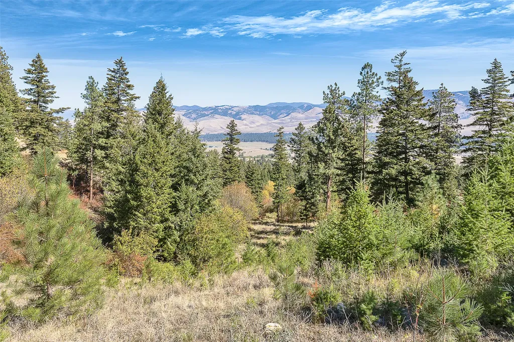 000 Ponderosa Ridge Florence MT 59833
