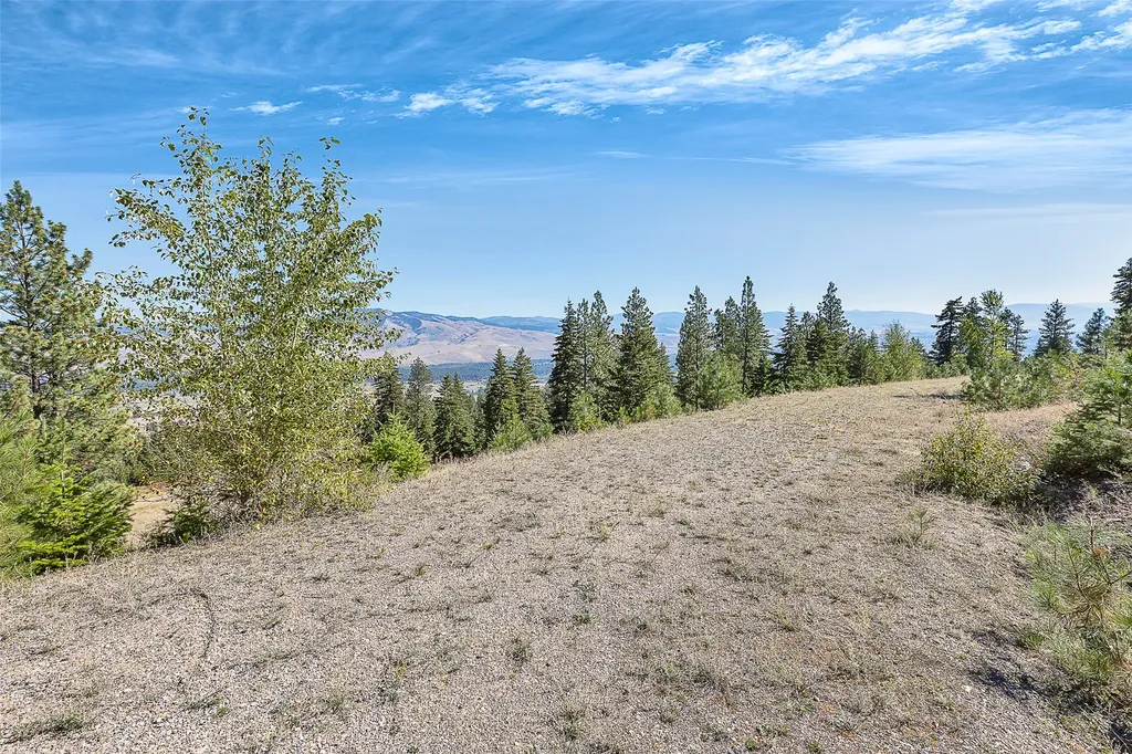 000 Ponderosa Ridge Florence MT 59833