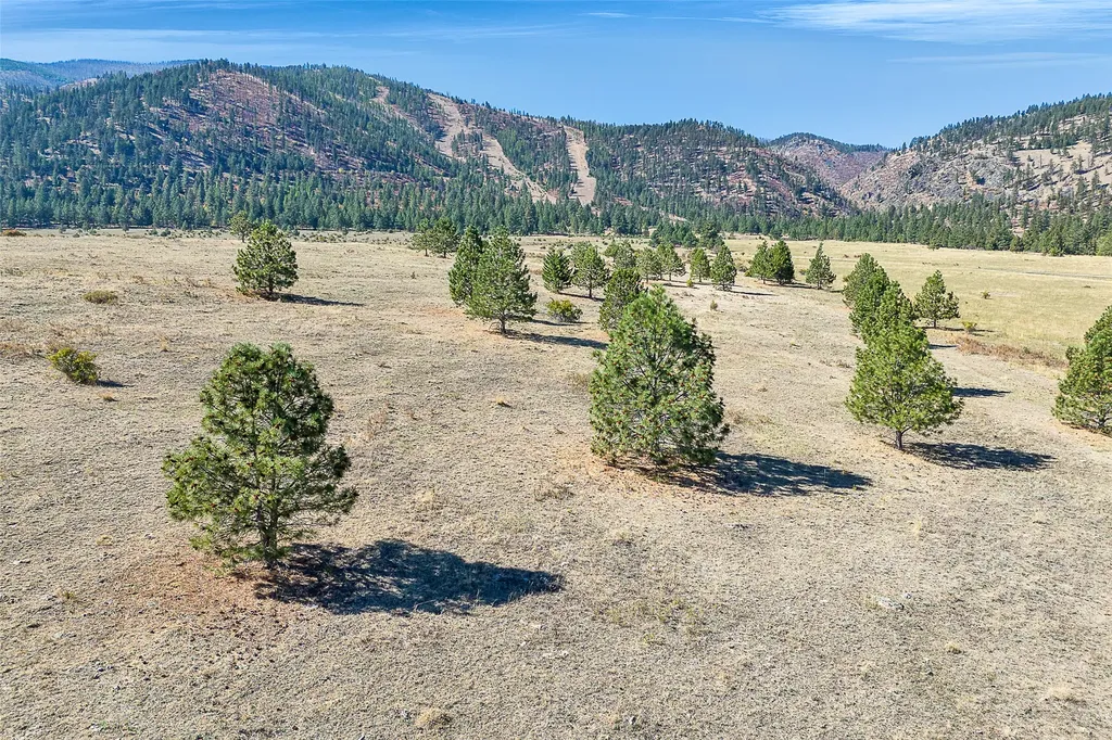 000 Ponderosa Ridge Florence MT 59833