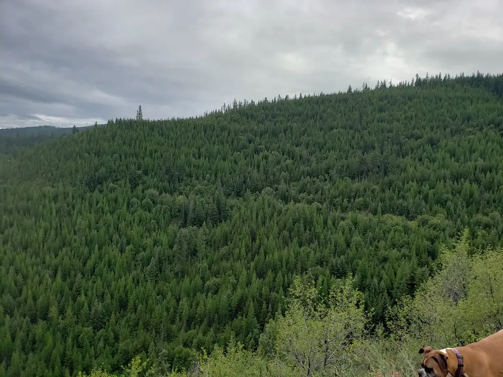 Tract 20 Nine Mile Road Huson MT 59846
