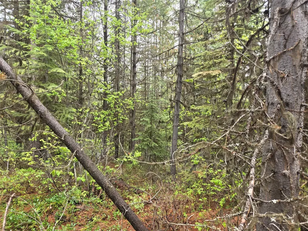 Tract 20 Nine Mile Road Huson MT 59846