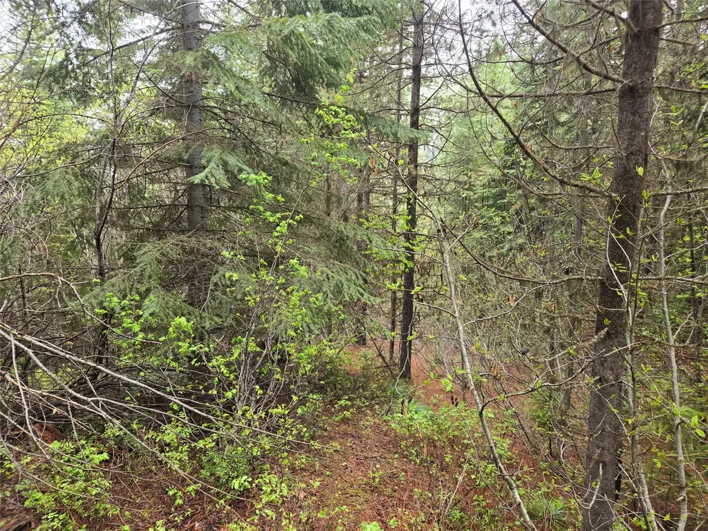 Tract 20 Nine Mile Road Huson MT 59846