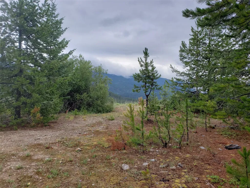 Tract 20 Nine Mile Road Huson MT 59846
