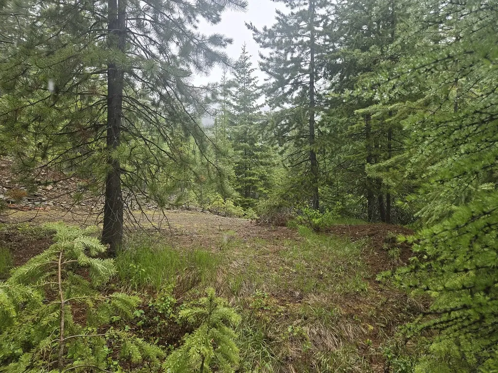 Tract 20 Nine Mile Road Huson MT 59846