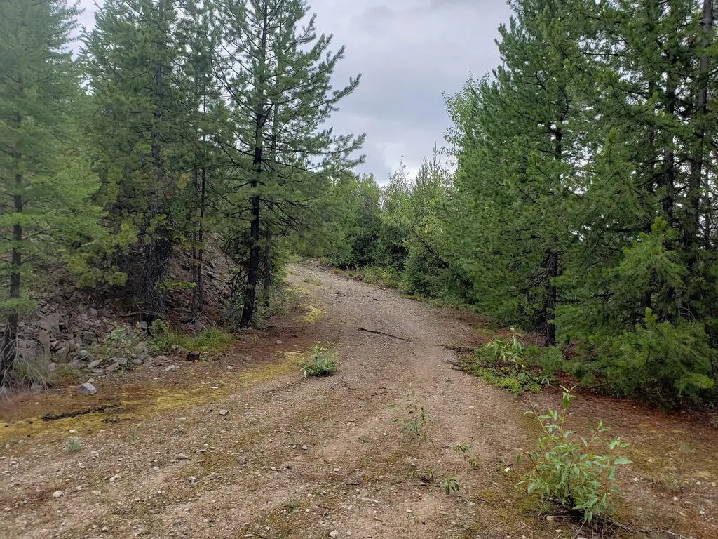 Tract 20 Nine Mile Road Huson MT 59846