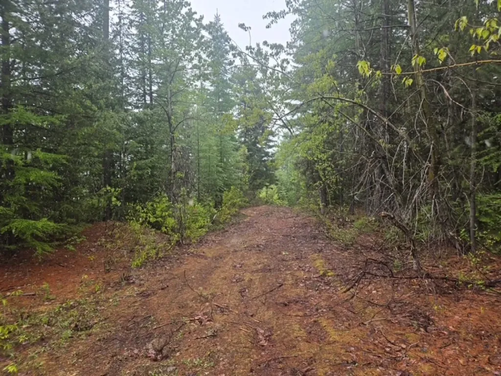 Lot 22 Nine Mile Road Huson MT 59846